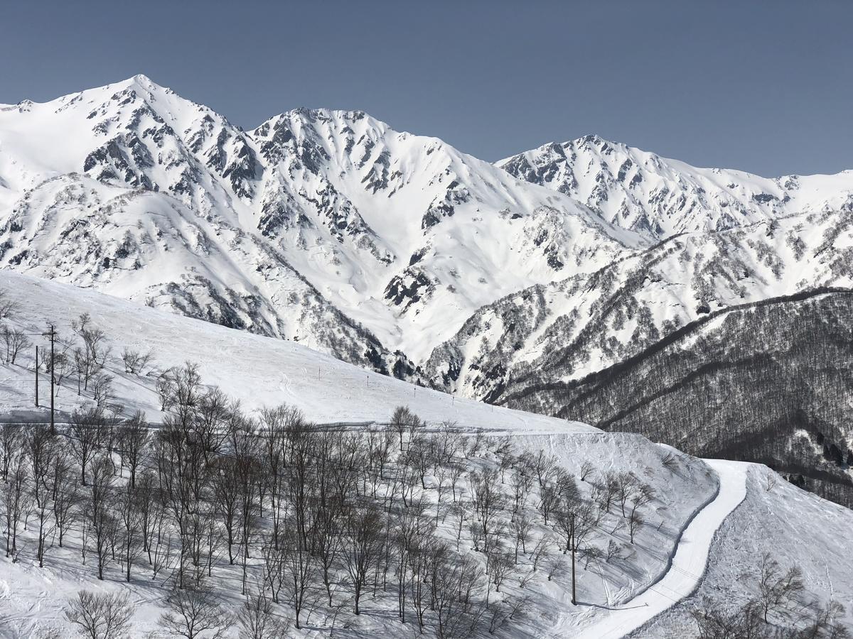 白马地标八方山林小屋 白马村 外观 照片