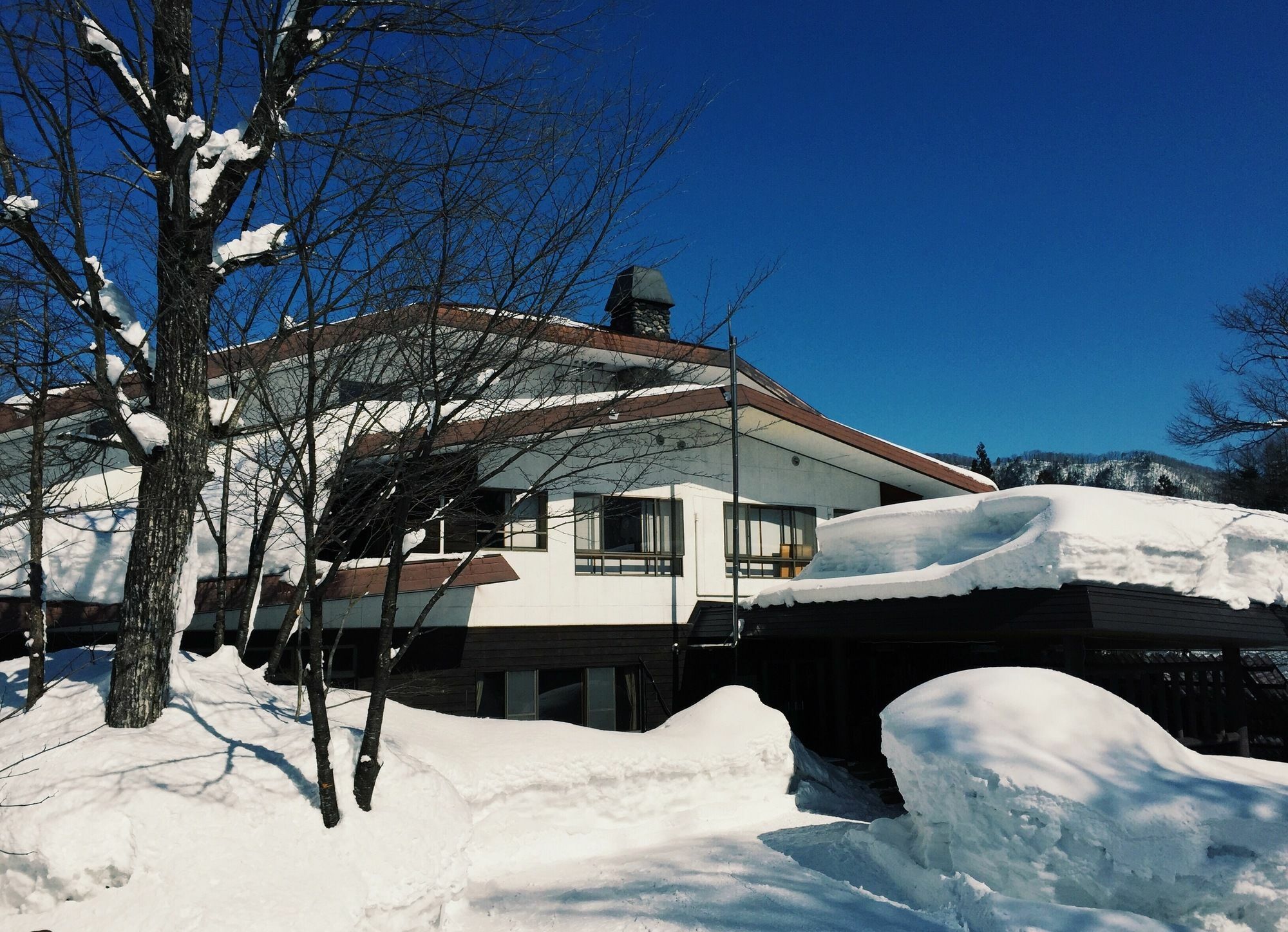 白马地标八方山林小屋 白马村 外观 照片